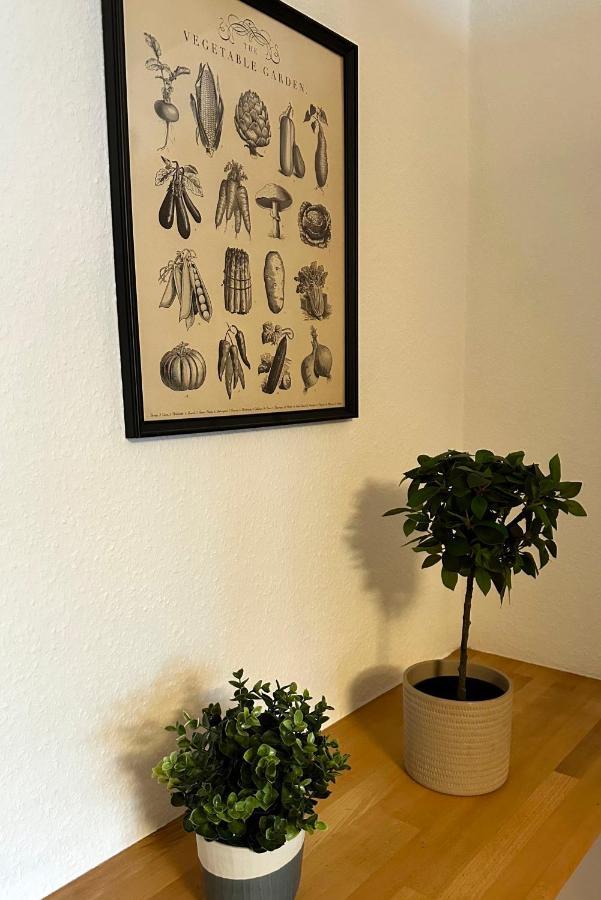 City-Apartment In Krefeld - Beuys Apartments - Krefeld Eksteriør billede